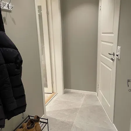 Downtown High Standard *